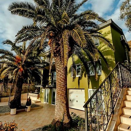 Olive Garden Apartment Petrovac Luaran gambar