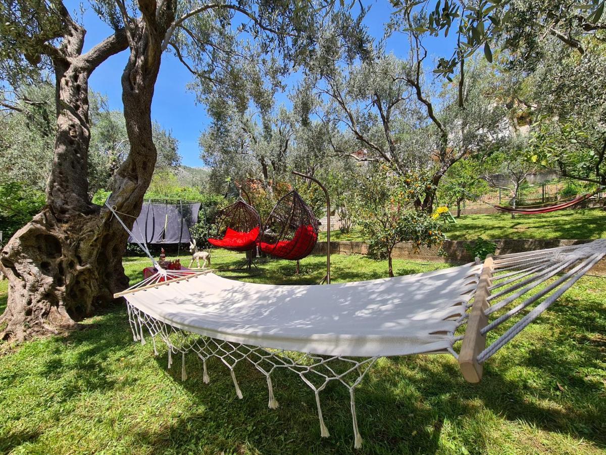 Olive Garden Apartment Petrovac Luaran gambar