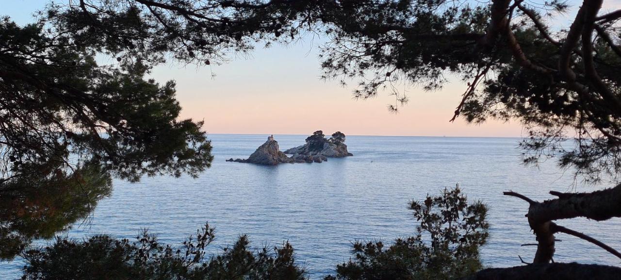 Olive Garden Apartment Petrovac Luaran gambar