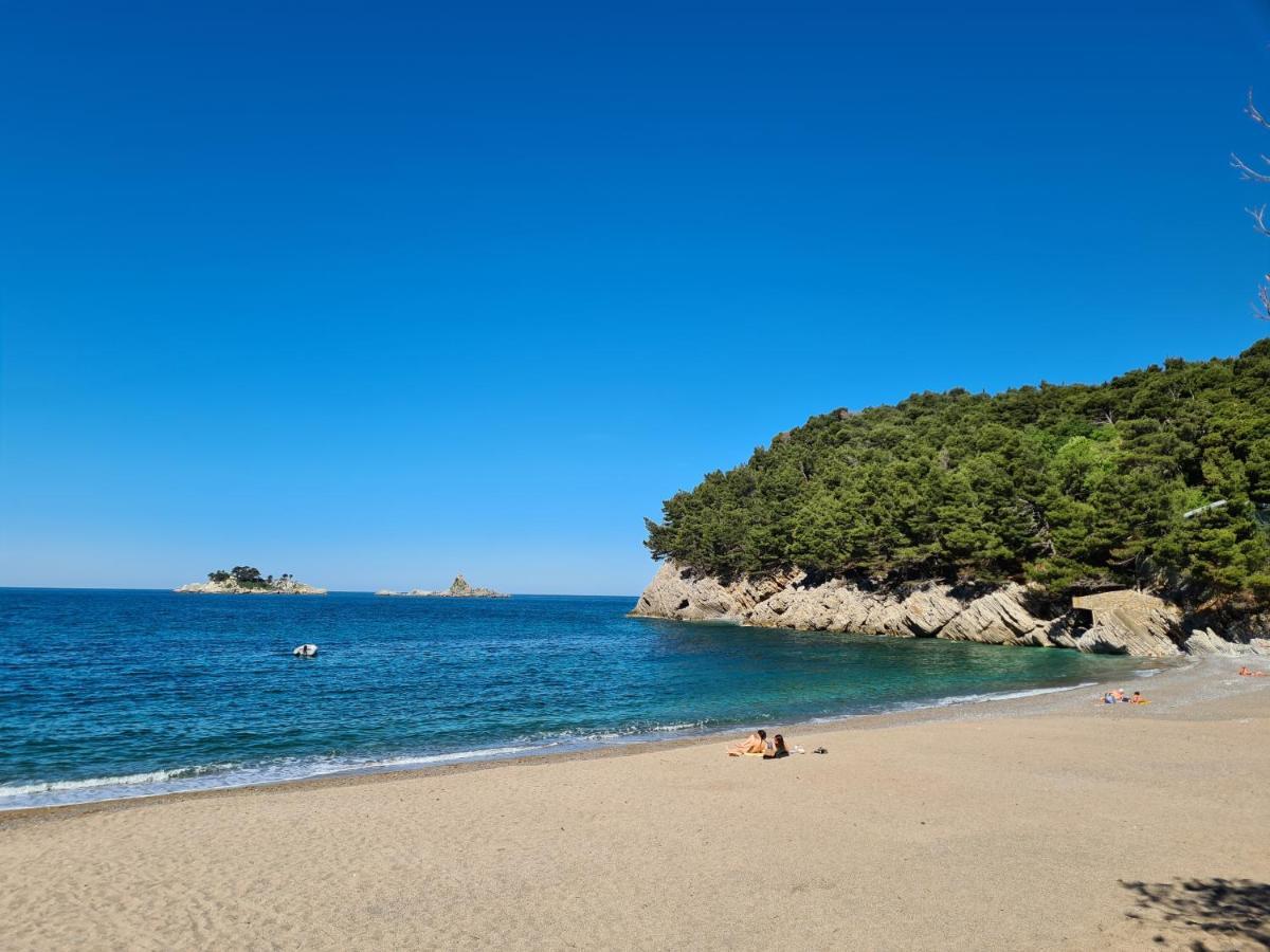 Olive Garden Apartment Petrovac Luaran gambar