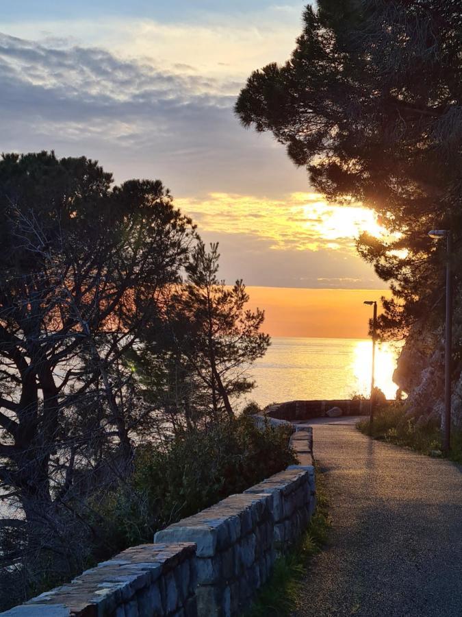 Olive Garden Apartment Petrovac Luaran gambar