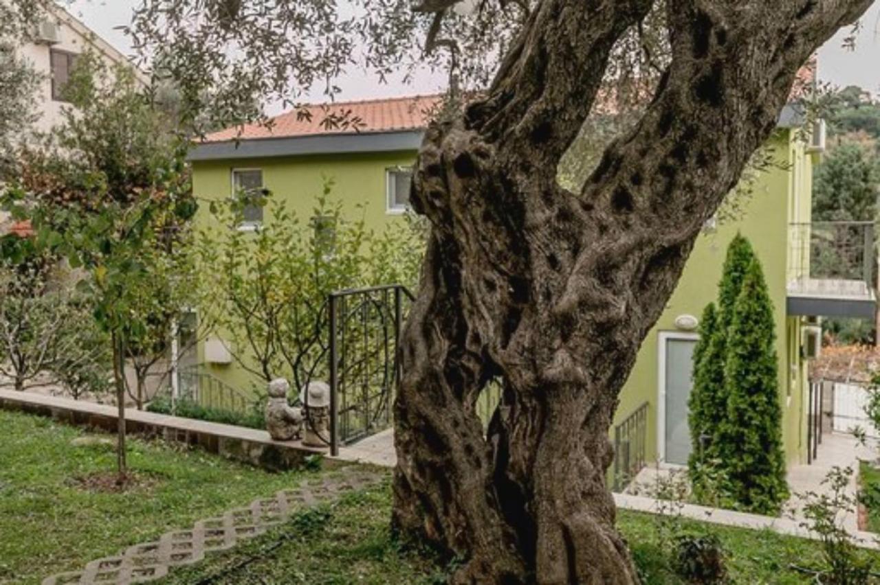 Olive Garden Apartment Petrovac Luaran gambar